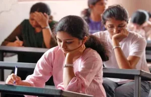 Exploring New Career Paths Without a Degree